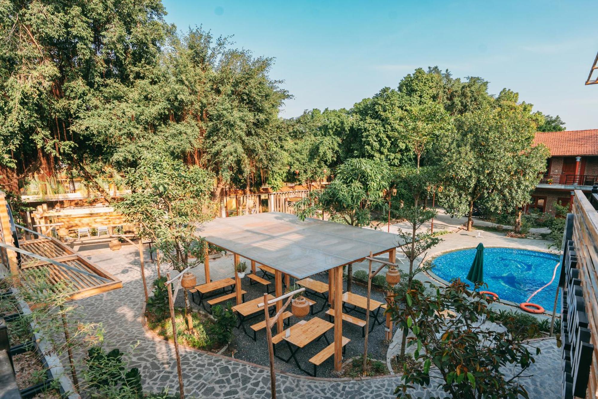 Tam Coc Lavender Homestay Ninh Binh Zewnętrze zdjęcie